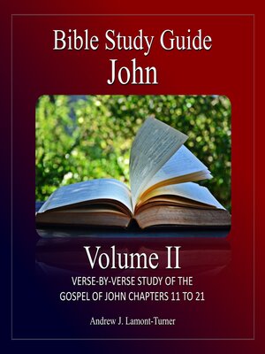 cover image of Bible Study Guide: John, Volume II